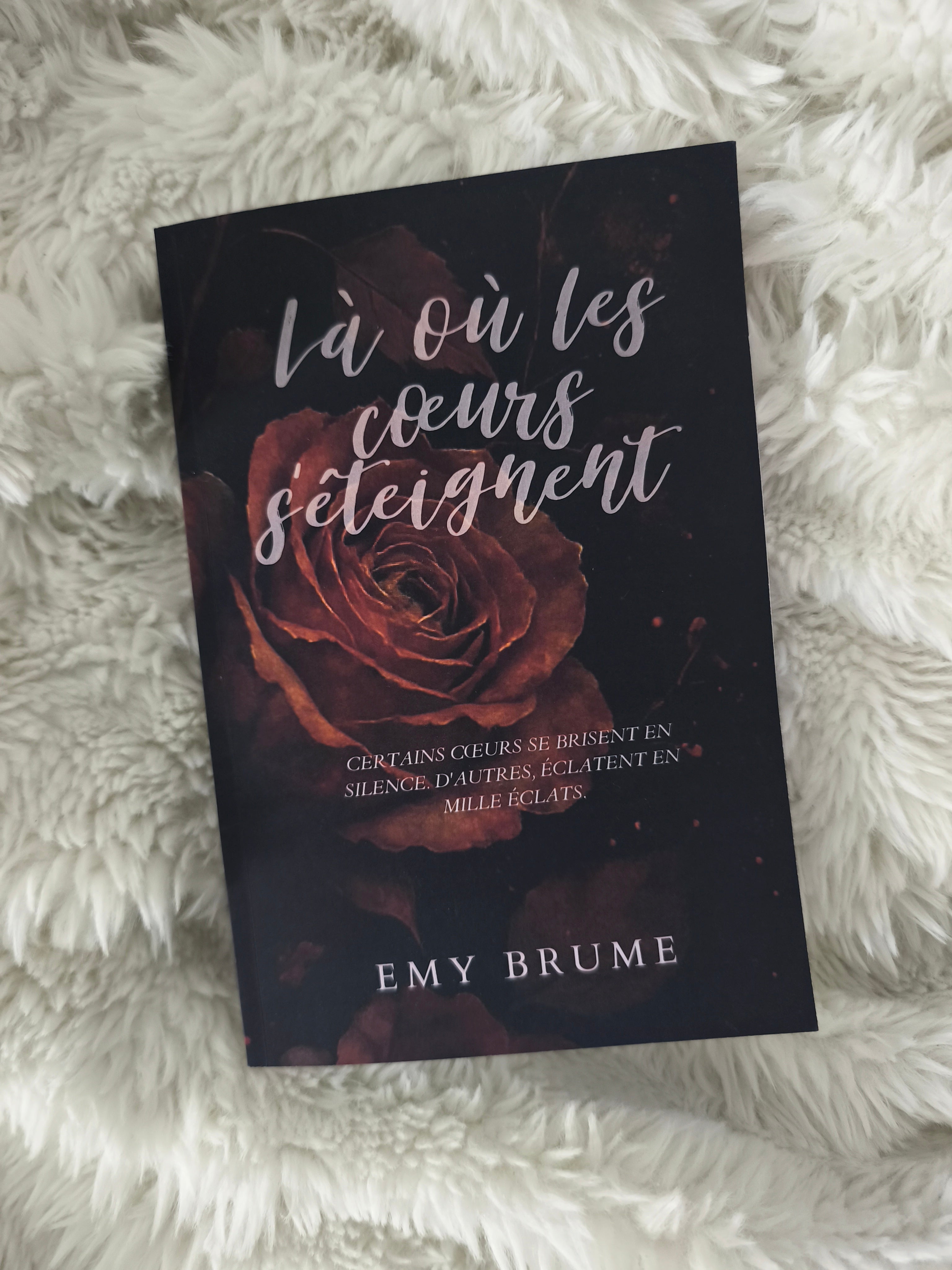 Là où les coeurs s'éteignent - Broché